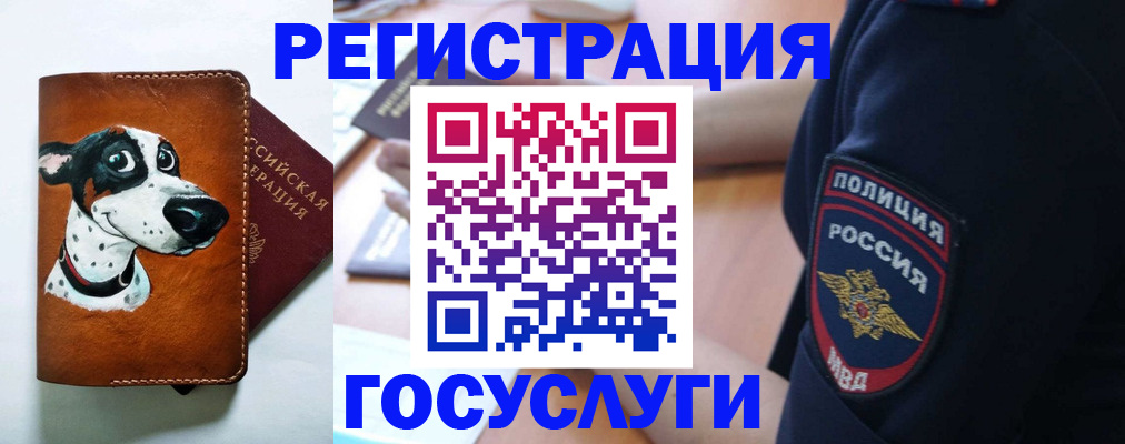 временная регистрация в квартире в Краснозаводске